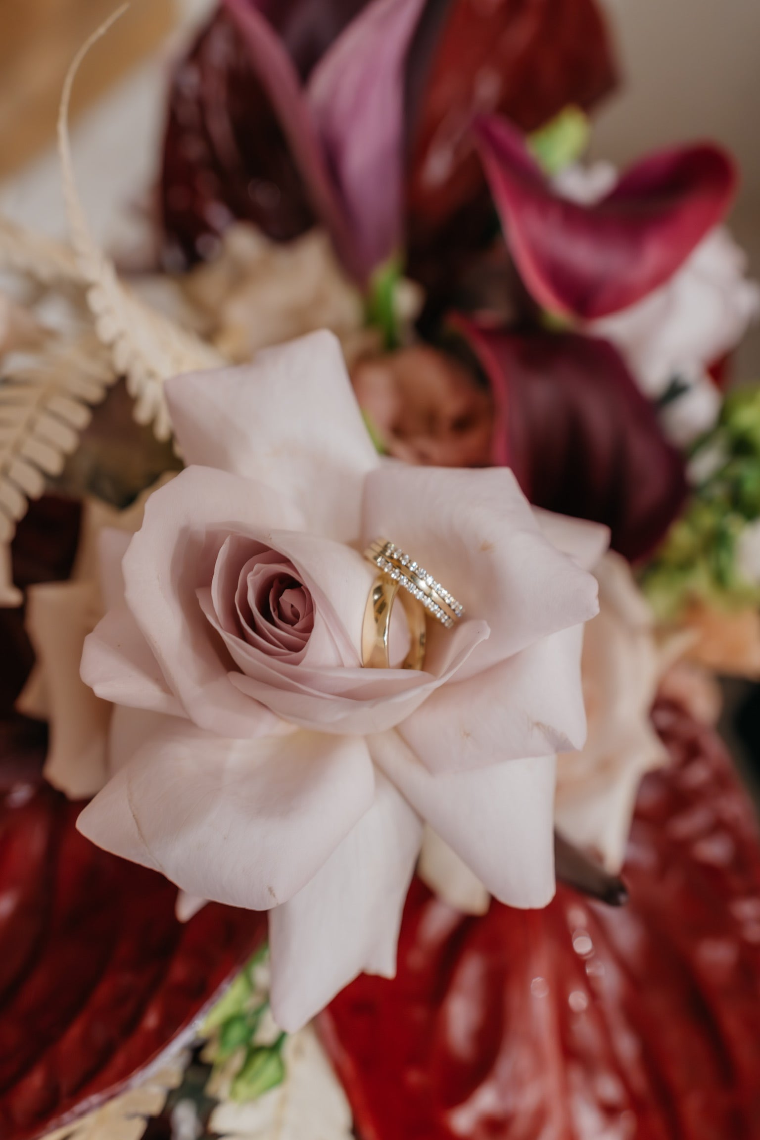 Hochzeitsringe fotografiert in Rose und Blumenarrangement von ZANOZA